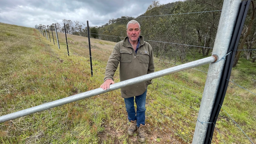 A man standing alongside a high fence.