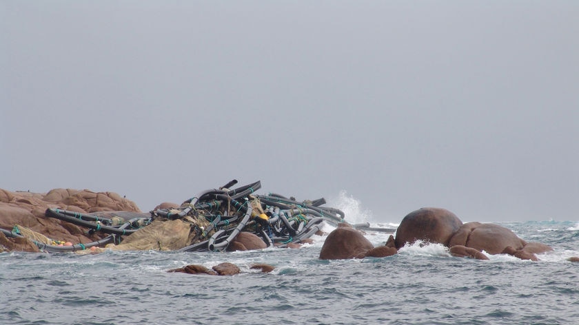 abalone farm debris