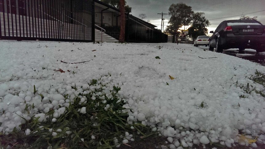 Hail stones of various sizes at Rooty Hill