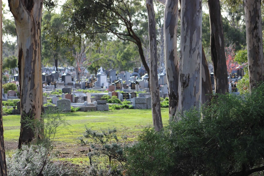 Diverse landscape at cemetery