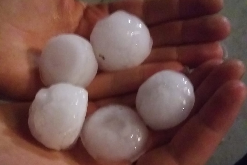 Two hands holding five golf ball sized pieces of ice