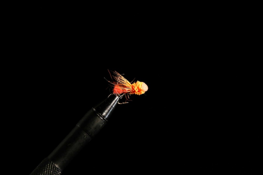 A Bowerman Muddle in Orange trout fly