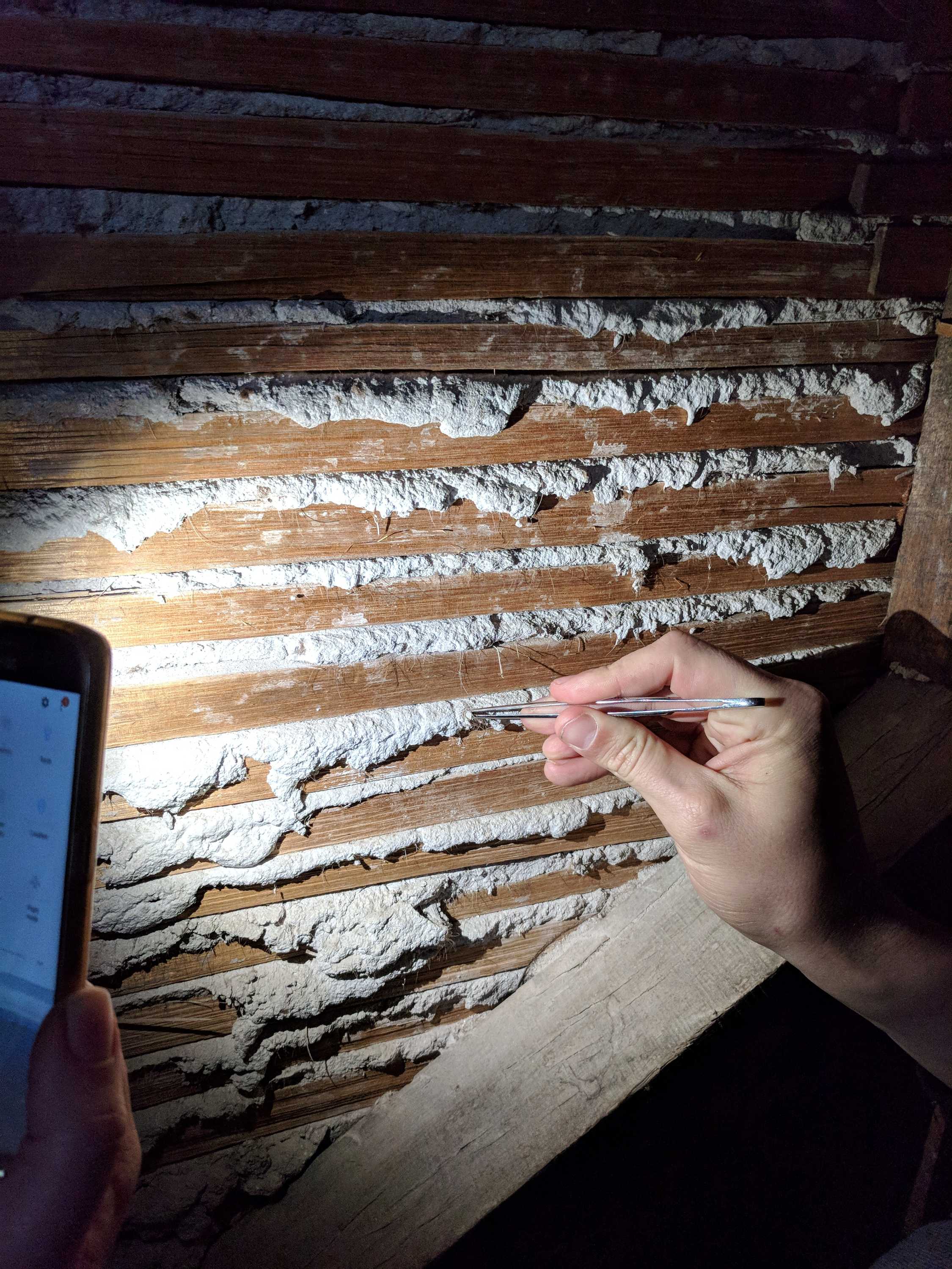 170yearold hair from plaster in Tasmania's convict buildings to shed