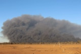 Large fire burning in Macquarie Marshes