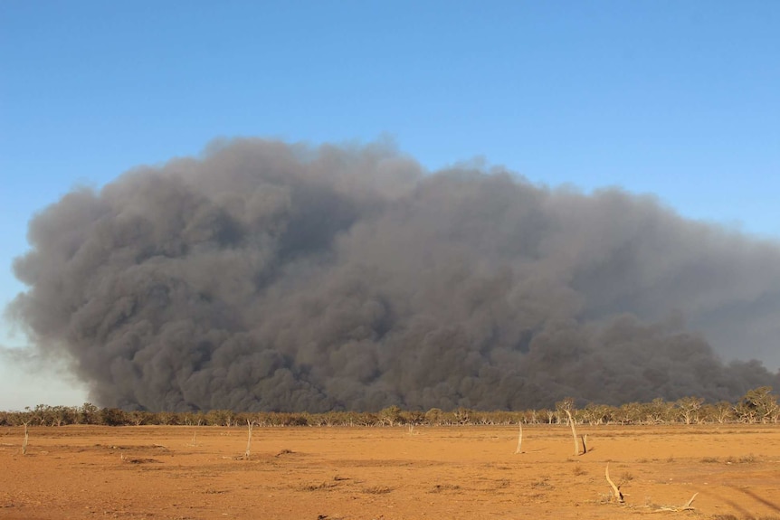 A huge cloud of smoke from a bushfire burning in a parched wetland.