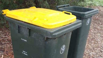 A recycling bin with a bright yellow lid sits beside a traditional green wheelie bin