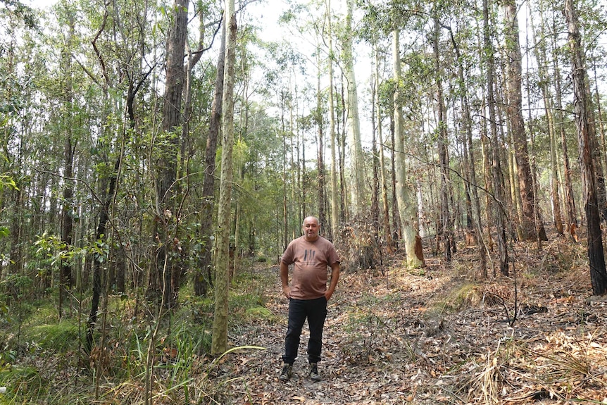 Indigenous fire practitioner Noel Webster stands on the border of the burnt and non-burnt country on Gavin Brook's property.