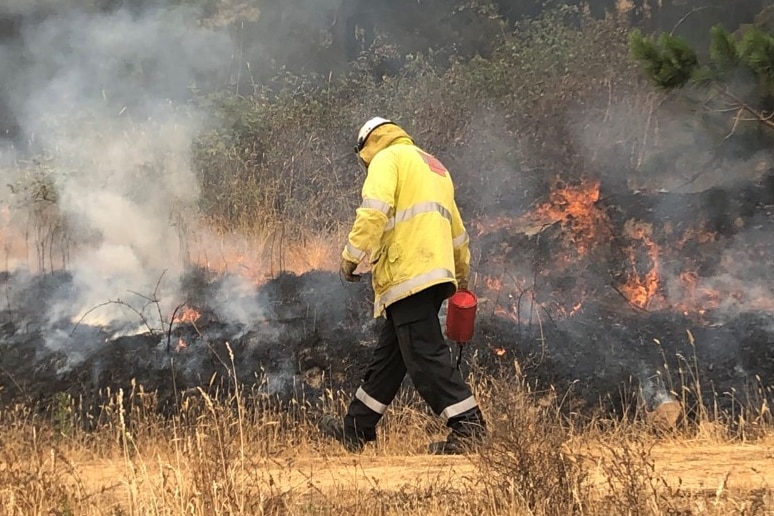 An RFS firefighter lights a controlled burn on a containment line.