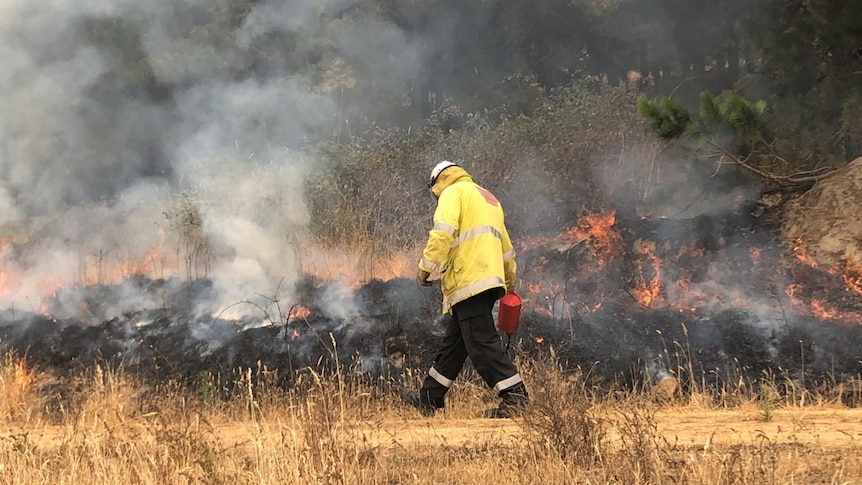 An RFS firefighter lights a controlled burn on a containment line.