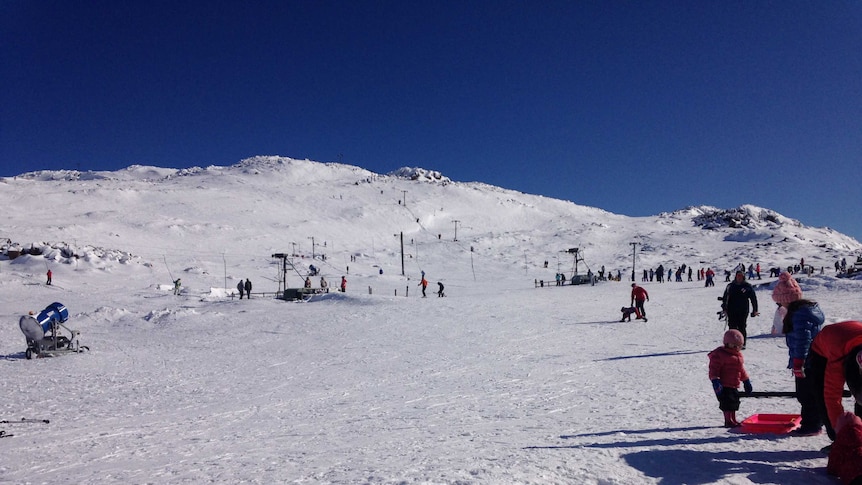 Tows have been helping skiers reach the Ben Lomond summit during one of the best seasons for many years.