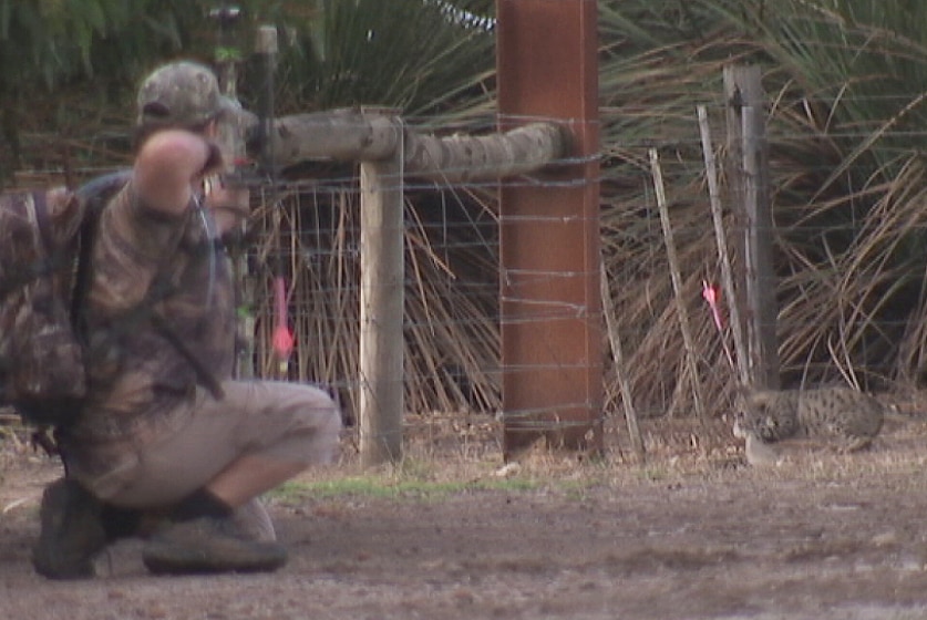 Aaron Wilksch aims to kill a feral cat