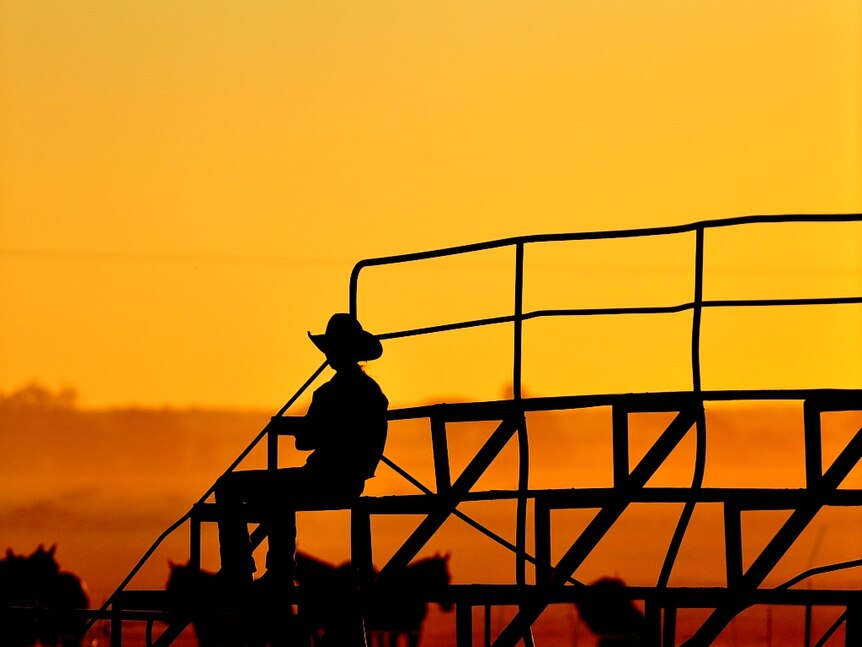 Silhouette of cowboy sitting on stands against the backdrop of a sunset