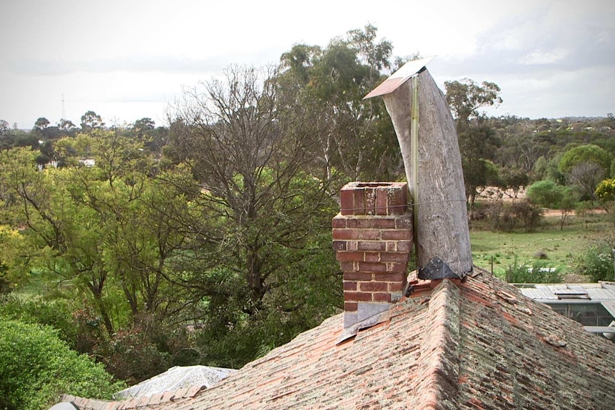 Nesting hollows on Leo Page's rooftop