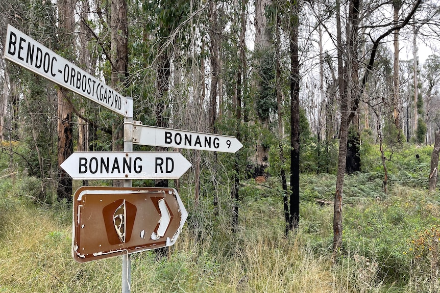 A road sign along the road to Bendoc burnt in the Black Summer fires