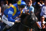 Dundeel storms to Rosehill victory