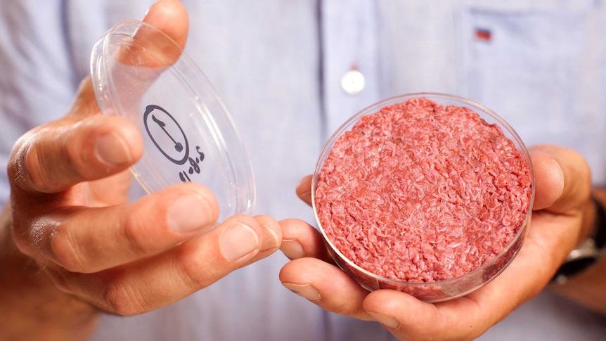 Lab-grown meat in a dish