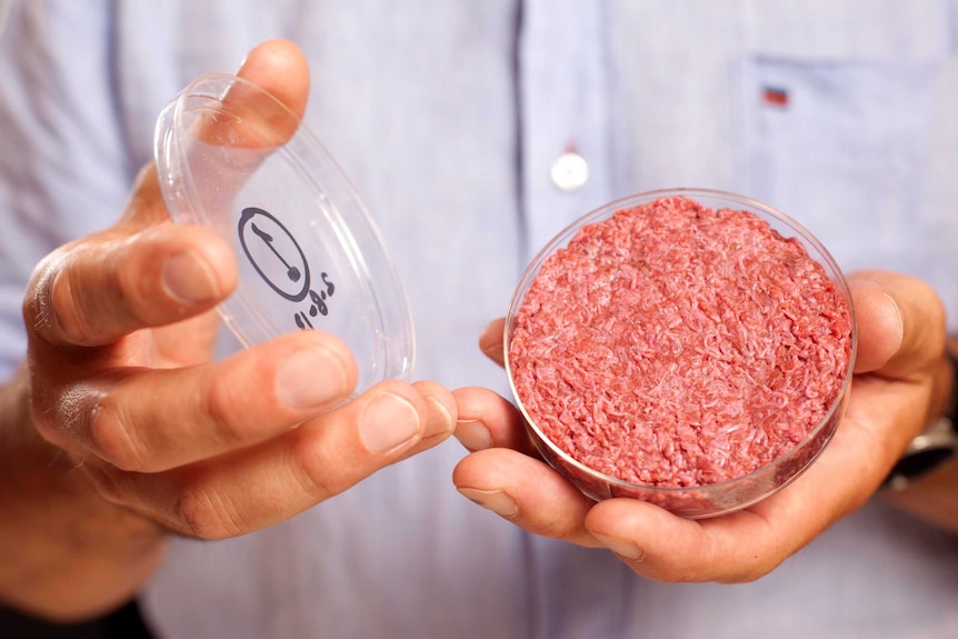Lab-grown meat in a dish