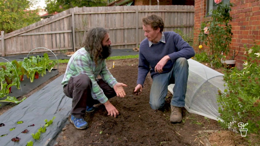 Two men squatting in vegetable garden