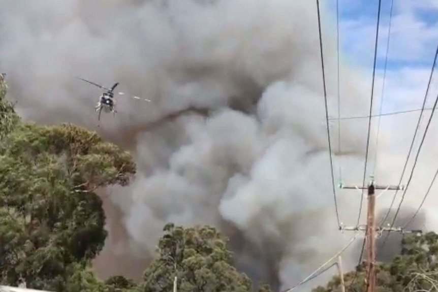 A helicopter flies through smoke over powerlines and gum trees.