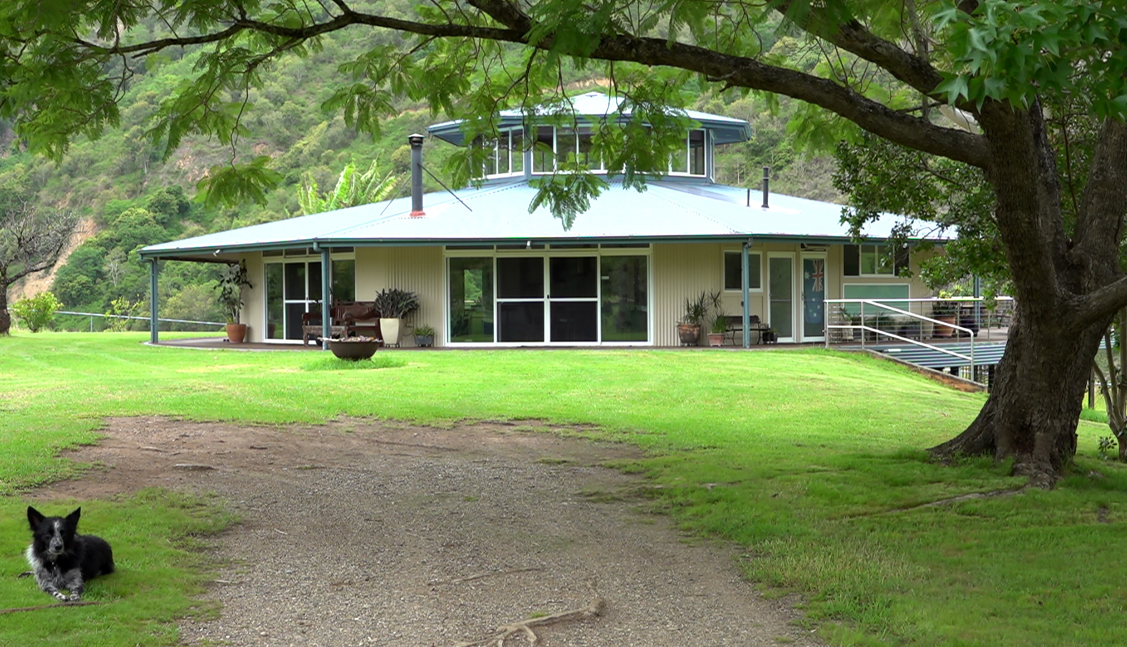 Round house with raised mezzanine behind a tree, dog sitting in the shade on the lawn by the dirt driveway. 
