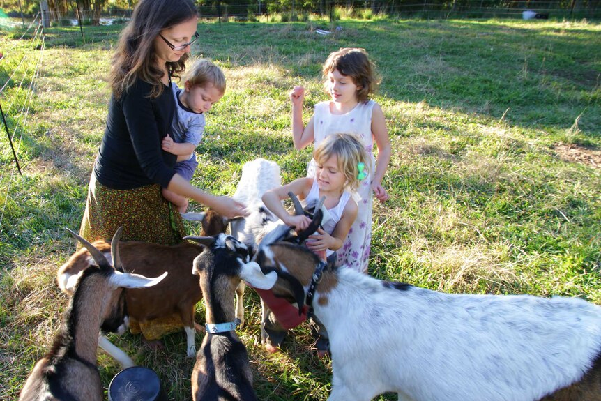 Mother, daughters and toddler hand feed their goats