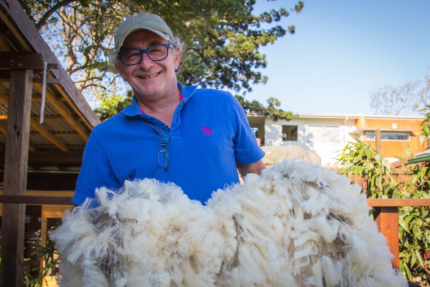 Man holds large amount of wool from his pet sheep.