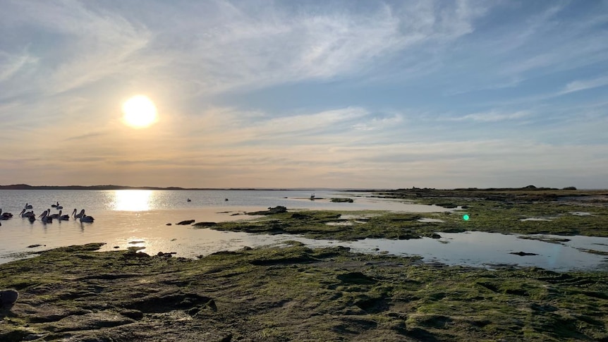 A view of the Coorong as the sun goes down.