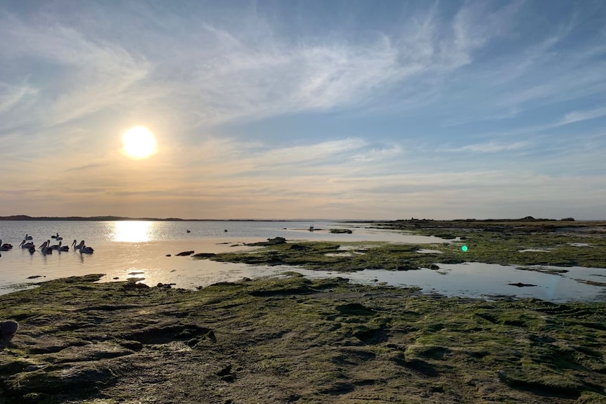 A view of the Coorong as the sun goes down.