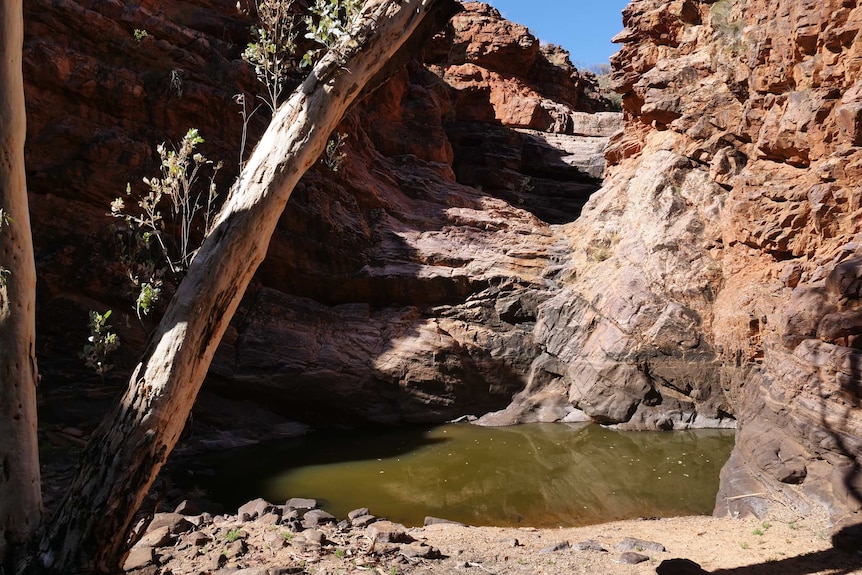 Dry gorge with a small pond of water.