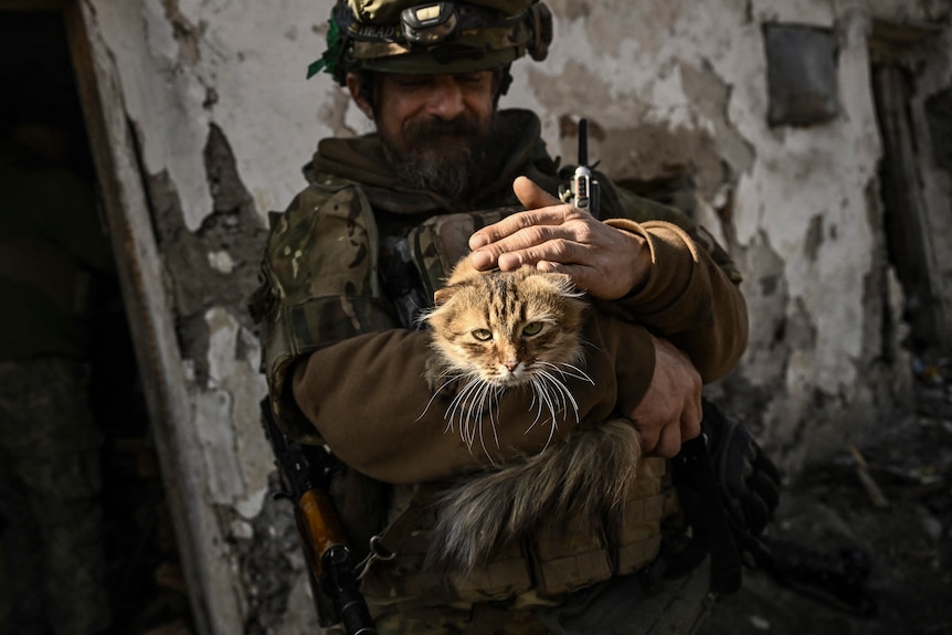 An Ukrainian serviceman caresses a cat near Bachmut.