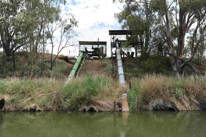 Two large pipes run into a river from pumps above.