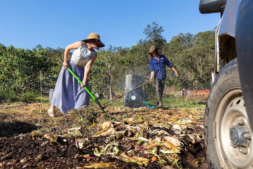 Alice and Phil tend their worm farm with rakes, spreading our organic waste into the soil