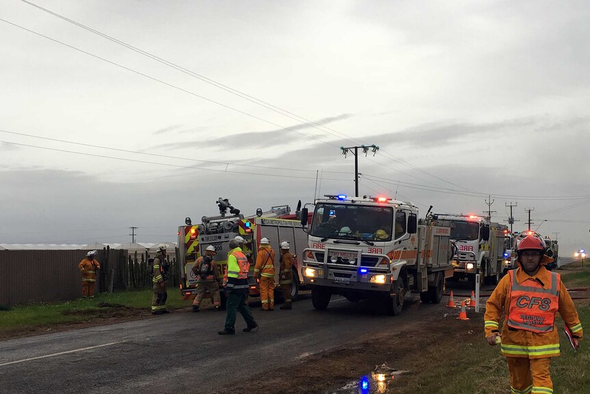 CFS crews and truck at a scene.