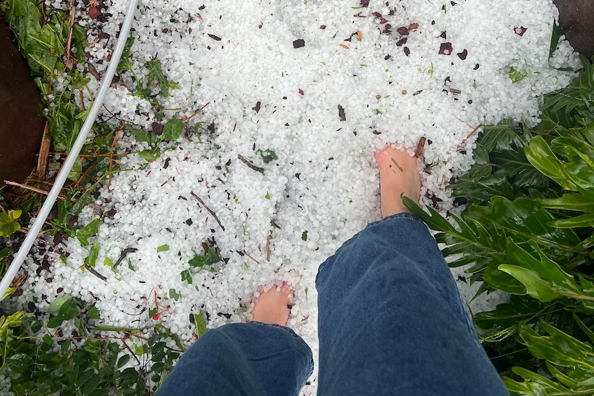 Feet in thick hail