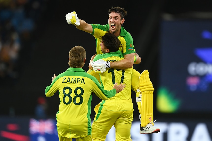 Three cricket players celebrate winning. 