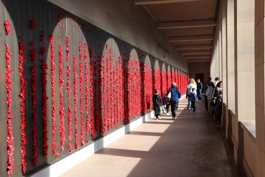 Photo of red poppies placed in Roll of Honour at the Australian War Memorial in Canberra.