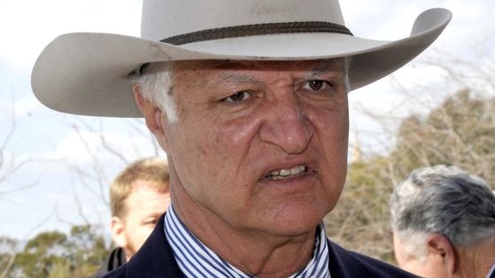 Mr Katter says he wanted to write a book describing the colourful characters who make up Australia.
