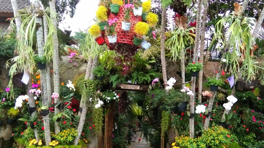 Taman di lingkungan rumah Nyoman yang berhasil memenangi kompetisi bunga internasional.