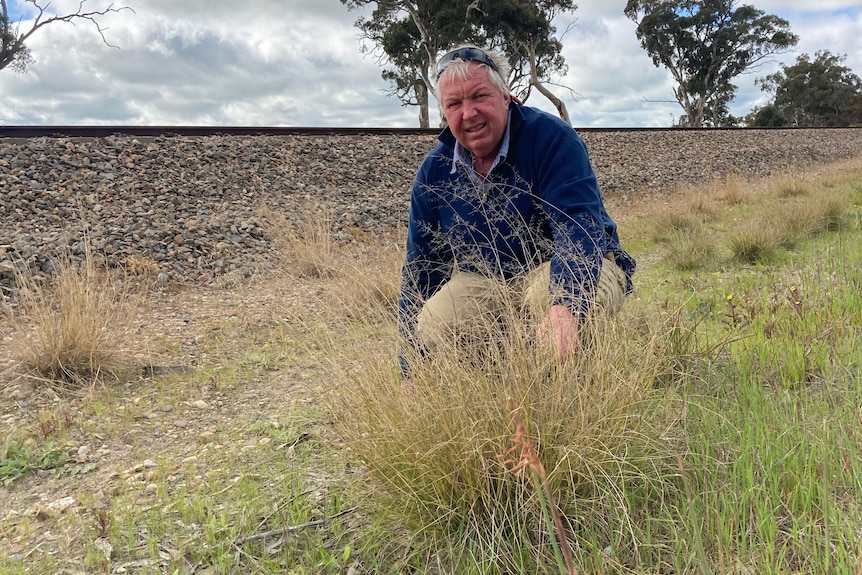 A man in a jumper squatting with weeds, a railway line behind him 