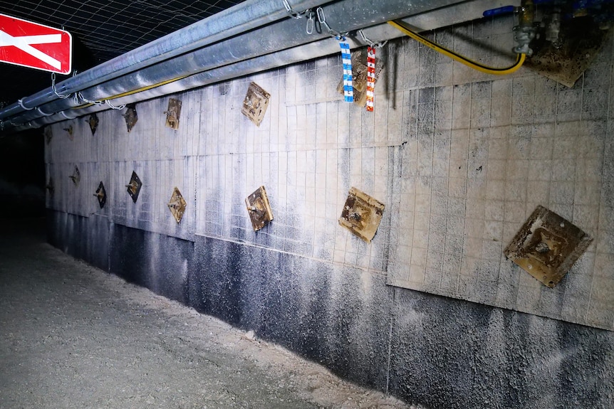 The side wall of a simulated underground mine with rock bolts.