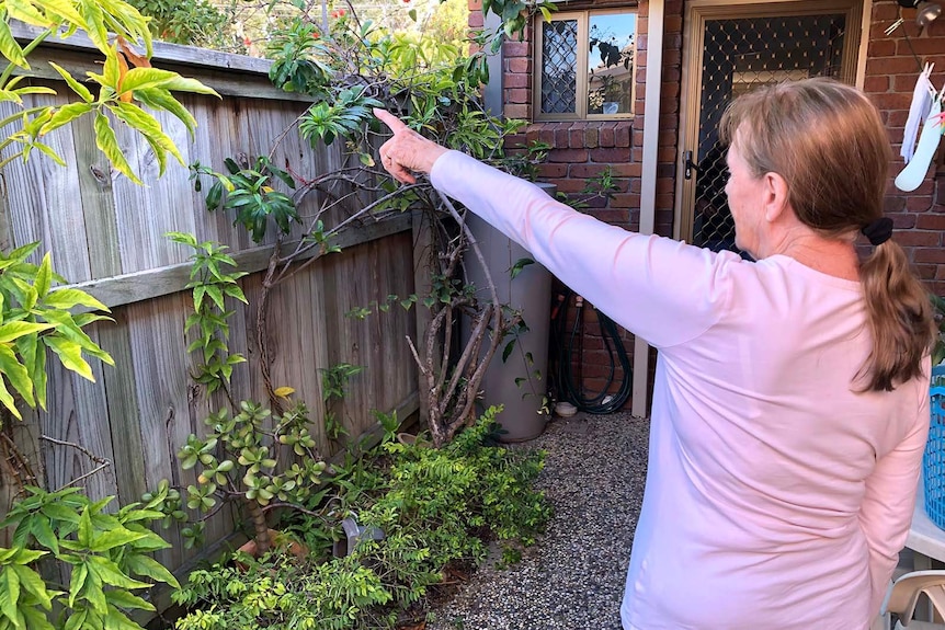 A woman standing in a backyard pointing to the top of a boundary fence