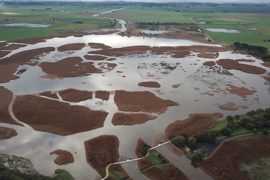 Wetlands with green pastures and walkway path.