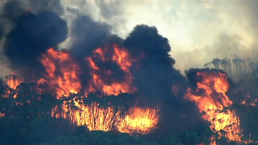 An aerial shot of a bushfire.