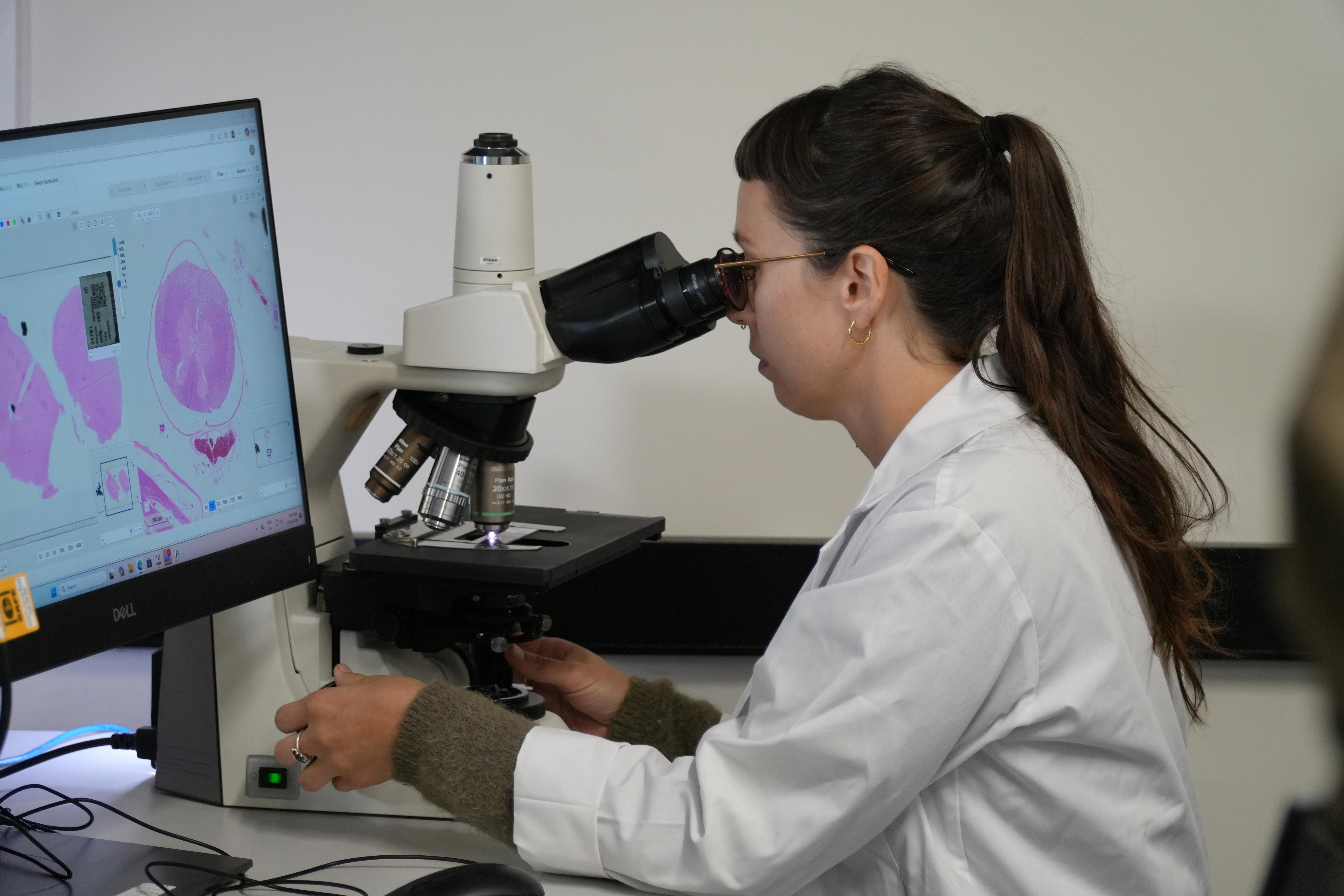 El científico examina un microscopio en un laboratorio