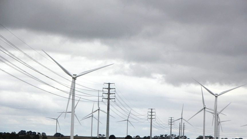 Wind turbines and power lines in a farming region