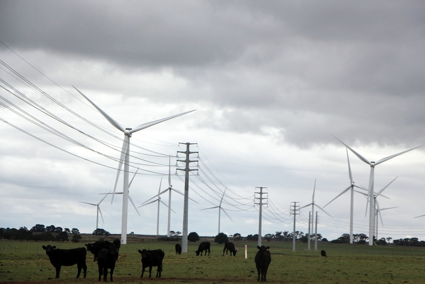 Wind turbines and power lines in a farming region