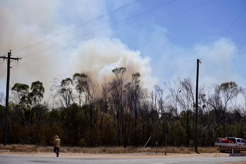 Smoke billows over bushland 