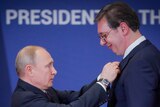 Vladimir Putin reaches out to pin a badge on Aleksandar Vucic's tie. Vucic is significantly taller than Putin