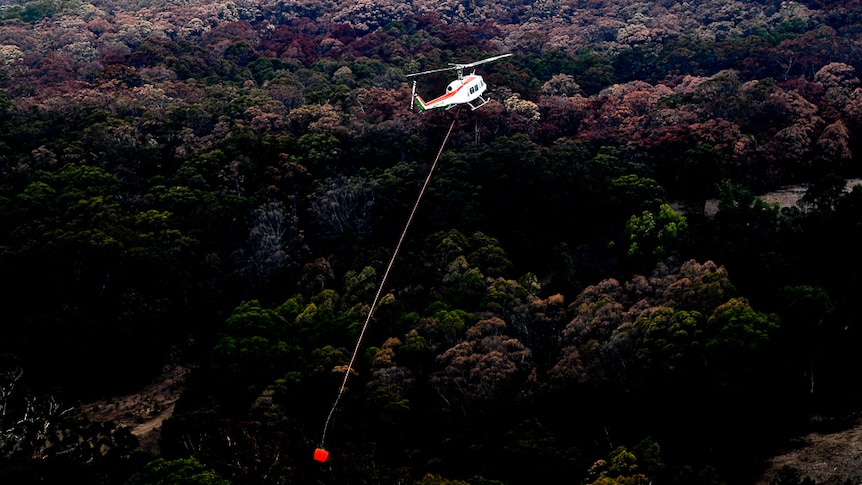 A helicopter waterbomber flying through the air near Bundanoon Creek.