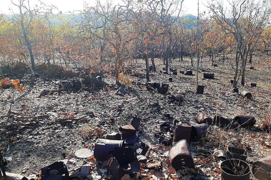 Burnt out and rusted barrels scattered around barren, red dirt landscape, with trees in background.